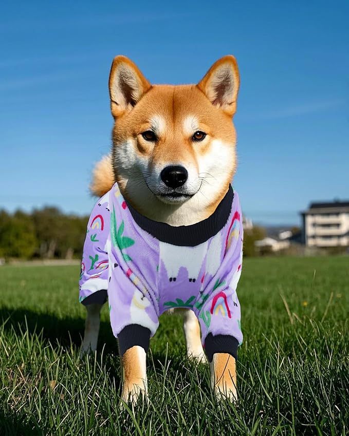 PET SHOW 4 Pack Small Dog Pajamas Spring Dog Clothes for Medium Dogs Girl Boy Soft Stretchy PJs Bee Ladybug Jumpsuit Puppy Cats Floral Onesies Outfits with Sleeve Pets Dachshund Costume(L, Spring)