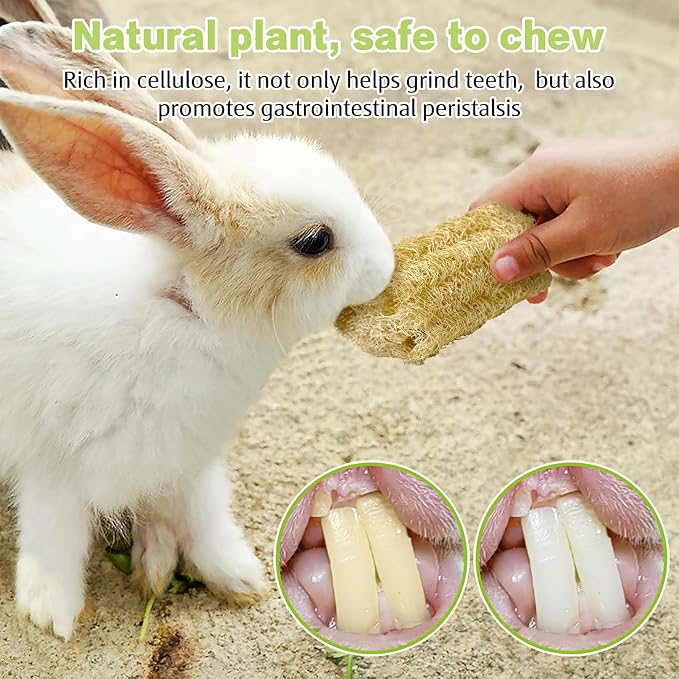 BNOSDM Bunny Chew Toys Natural Loofah 6PCS Bunny Teeth Grinding Toy Rabbit Fiber-Rich Treats Pet Entertainment Accessories for Rabbits Chinchillas Guinea Pig（M）