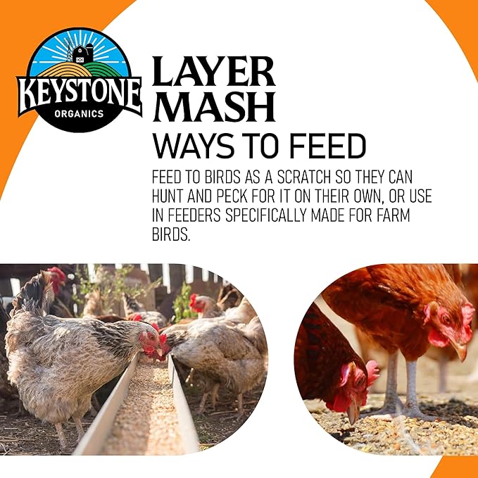 Layer Mash Chicken Feed – 44lb Bag – USDA Organic, Non-GMO, High Calcium for Strong Eggshells – for Chickens, Ducks, Geese, Pheasants & Guineas – No Artificial Hormones