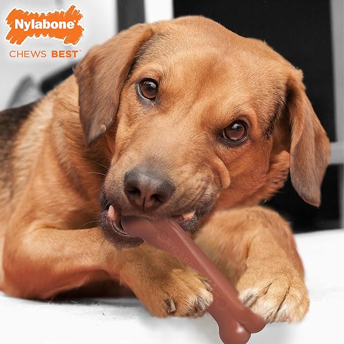 Nylabone Original Bone Power Chew Toy for Dogs, Durable Dog Toys for Aggressive Chewers, Basted Blast Bacon & Chicken Flavor, Medium - Up to 35 lbs, 2 Pack