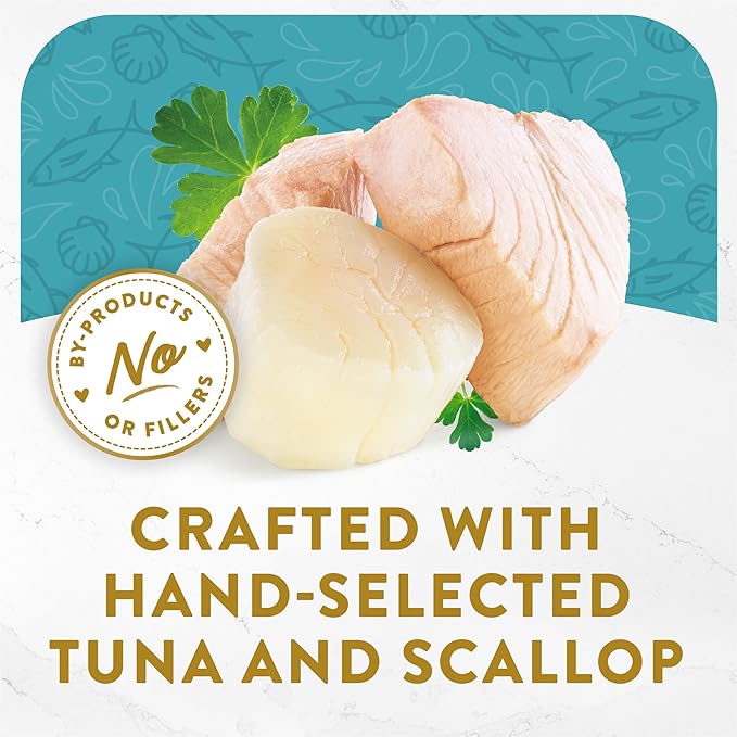 Purina Fancy Feast Appetizers Lickable Grain Free Wet Cat Food Topper Light Meat Tuna Appetizer with Scallop - (Pack of 10) 1.1 oz. Trays