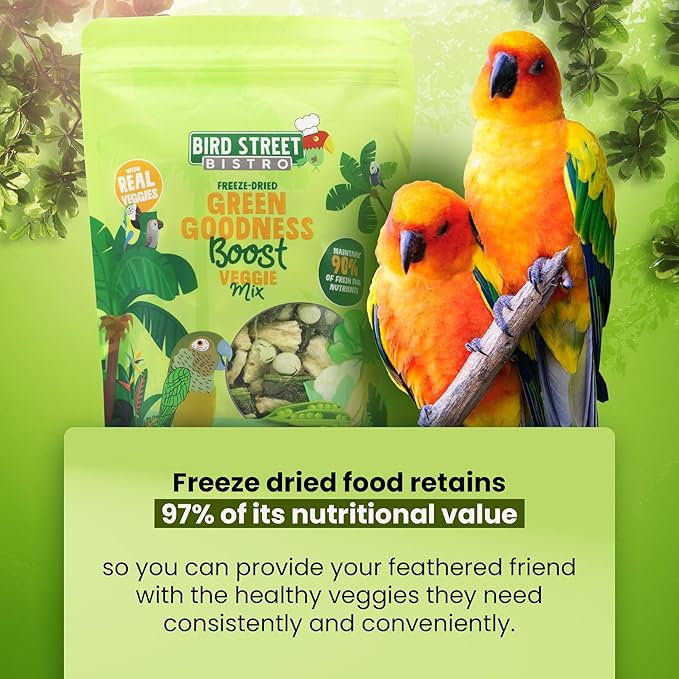 Parrot Food - Parakeet & Cockatiel Food - Cooks in 3-15 min with Natural & Organic Grains, Legumes, Non-GMO Fruits, Vegetables & Health Spices