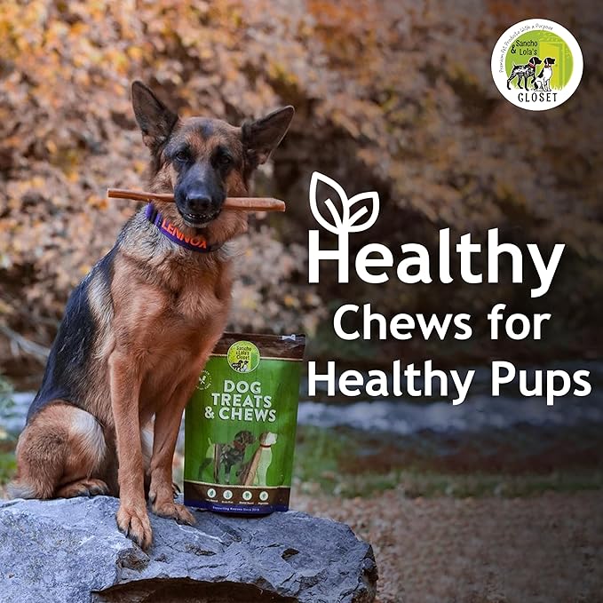 Supreme 12-inch Thick Bully Sticks by Sancho and Lola’s (5 Pack) All-Natural, Long-Lasting Dog Chew Treats - Free-Range, Grass-Fed Beef - Low Odor