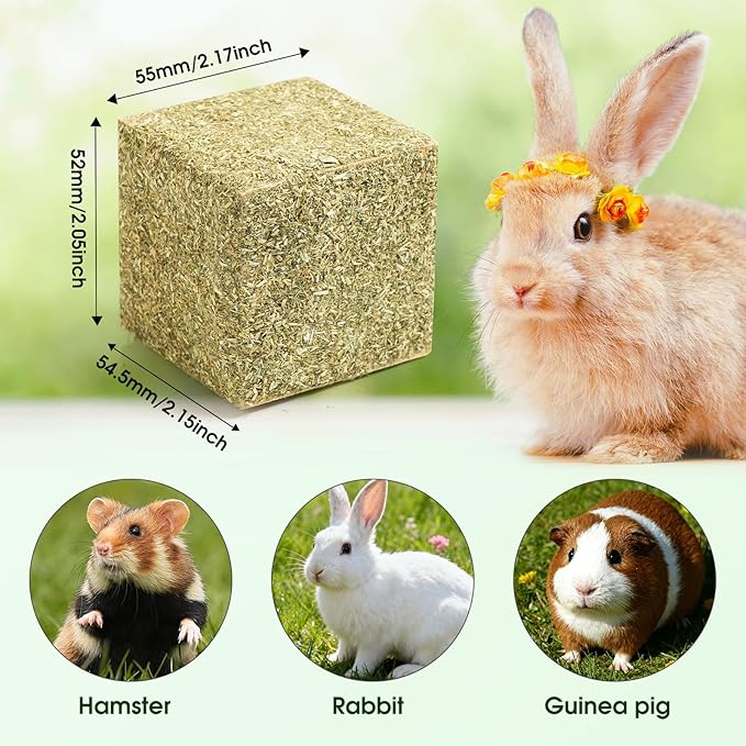 Abizoo Natural Rabbits Chew Toys Timothy Hay & Pine Wood Blocks for Guinea Pigs, Hamsters Small Animal Dental Care Digestion & Molar Health Vitamin-Enriched Safe Chewing Treats
