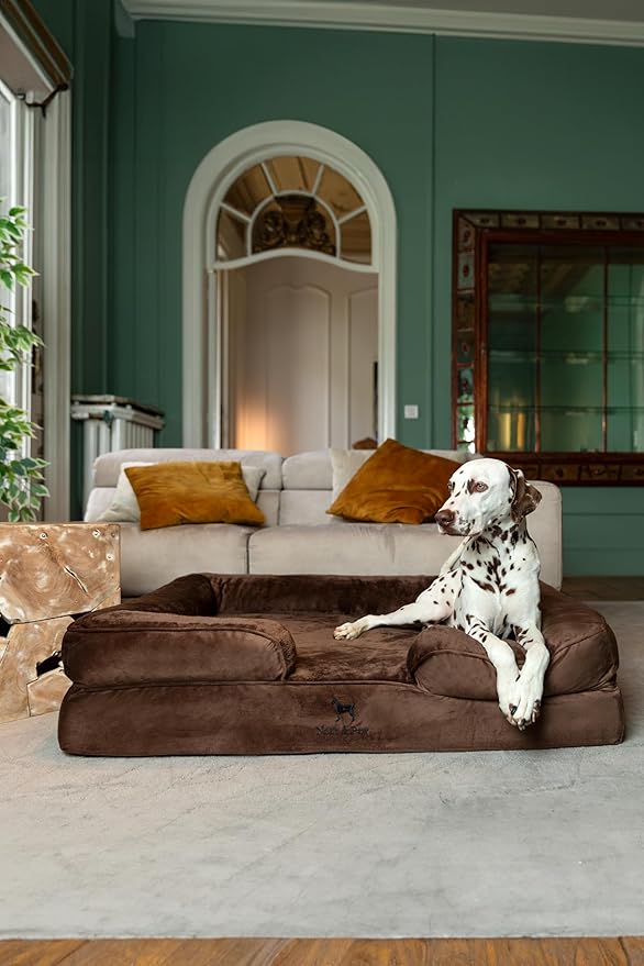 NOAH & PAW XL Dog Bed, 45x35x11 Inch, Orthopedic Large Dog Beds, Eggshell Memory Foam Infused with Cooling Gel, Inner Cover, Waterproof, Machine Washable (Velvet Sofa Collection)