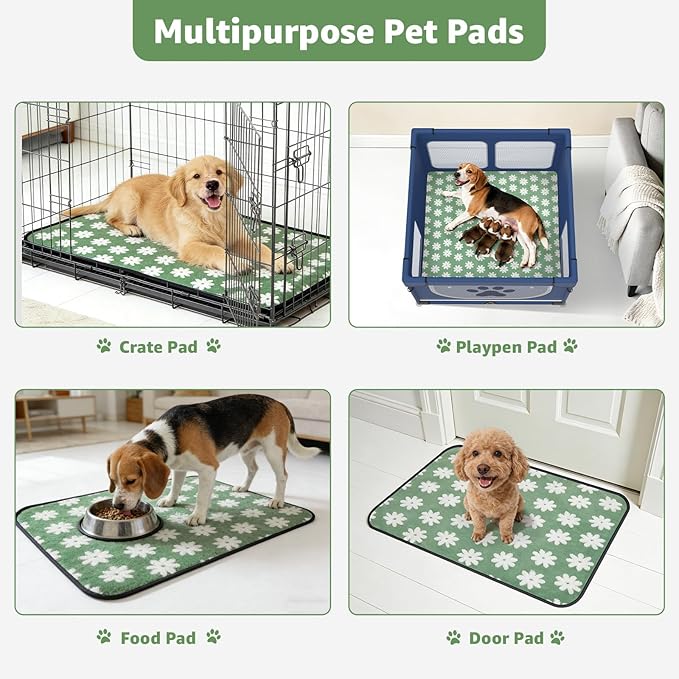 LOOBANI Washable Puppy Pads: Waterproof Reusable Pee Pads for Dogs, Non-Slip and Leak-Proof Dog Pee Mat, Absorbent Dog Training Pads for Puppy Playpen, Crate, Potty Training (36"x72", 2 Packs)