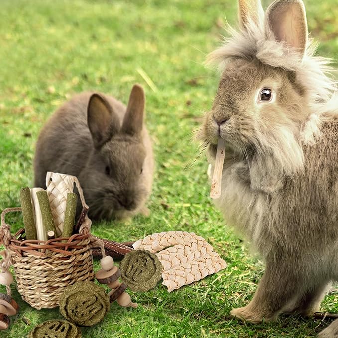 Rabbit Chew Toys,Natural Seagrass Hanging Chew Toy,Woven Water Plant Treat for Rabbits,Guinea Pigs and Other Small Pets TeethTeeth Grinding Accessory