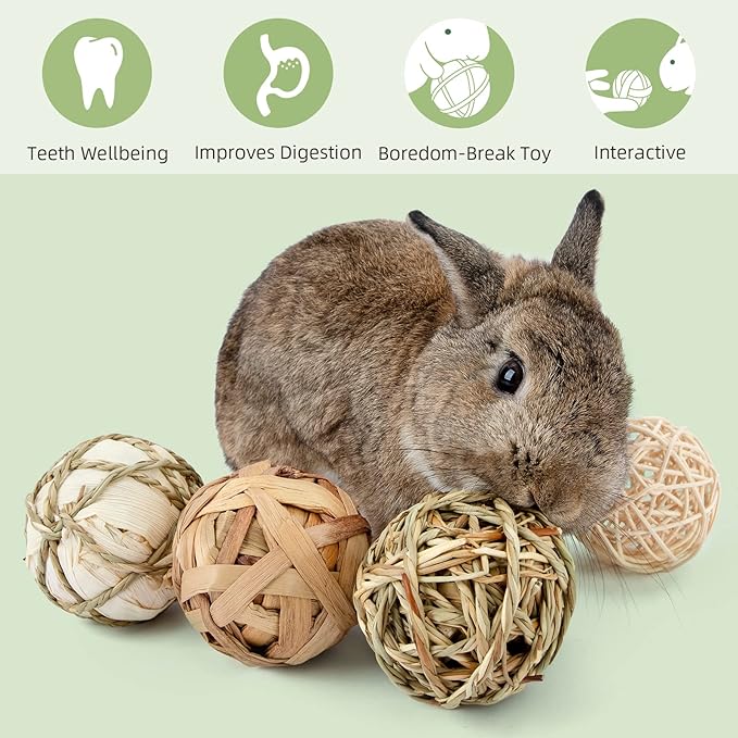 andwe Small Animals Play & Activity Balls Rolling Chew Toys for Rabbits Guinea Pigs Chinchilla