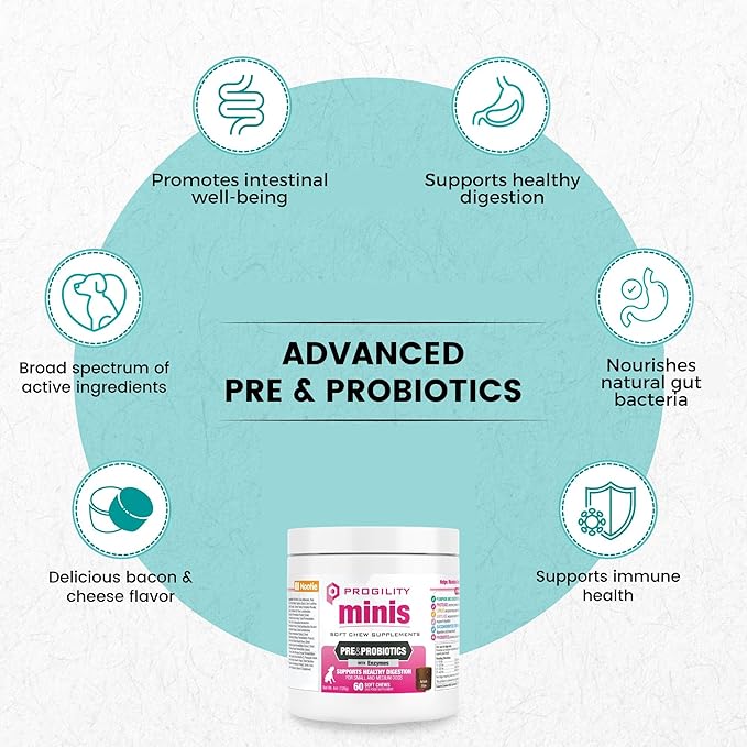 Nootie Progility Mini Pre & Probiotic Supplement, Digestive Aid Supplement for Dogs, 60 Soft Chews per Container