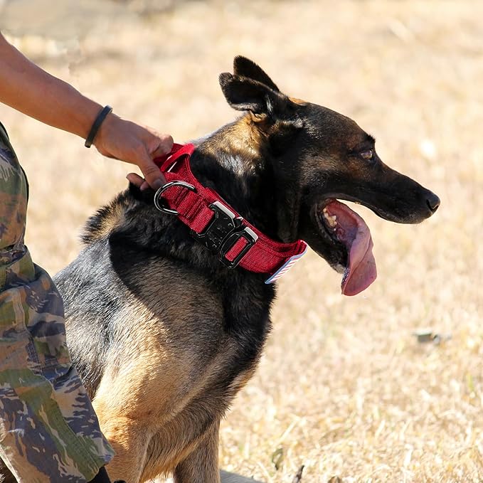 Tactical Military Dog Collar - Adjustable Nylon, Heavy Duty Metal Buckle With Handle for Training, With Patches (Red, M)