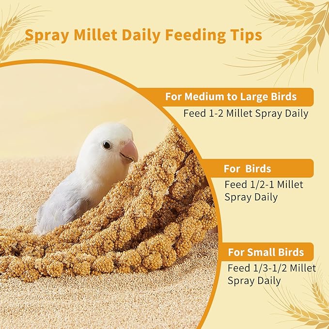 Fhiny Millet Spray for Birds, 2.2LB Natural Sun-Dried Millet for Birds Original Parakeet Food & Treats Spray for Parakeets Parrots Cockatiels Lovebirds Finches Budgies Hamsters