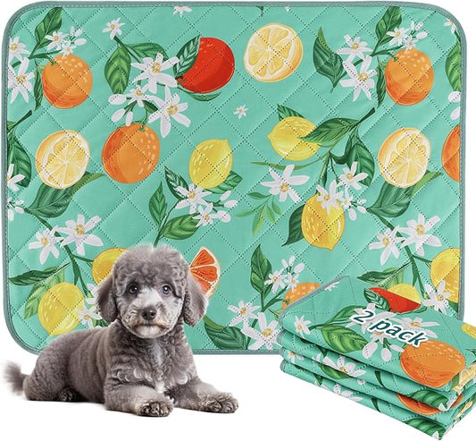 BVAGSS Washable Pee Pads for Dogs, 2 Pack Reusable Leakproof Puppy Wee Wee Pad, Non-Slip Waterproof Pet Training Pads, Super Absorbent Whelping Pads XH081 (Green Lemon, 24X18 Inch (Pack of 2))