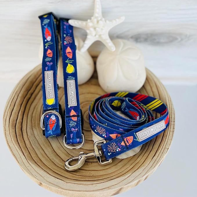 Lucky Love Dog - Adjustable Dog Collar with Easy Click Buckle for Small to Large Ones, Durable, & Comfortable for Male & Female Dogs, Pet Collar for Puppies & Adult Dogs - Mackey, XS