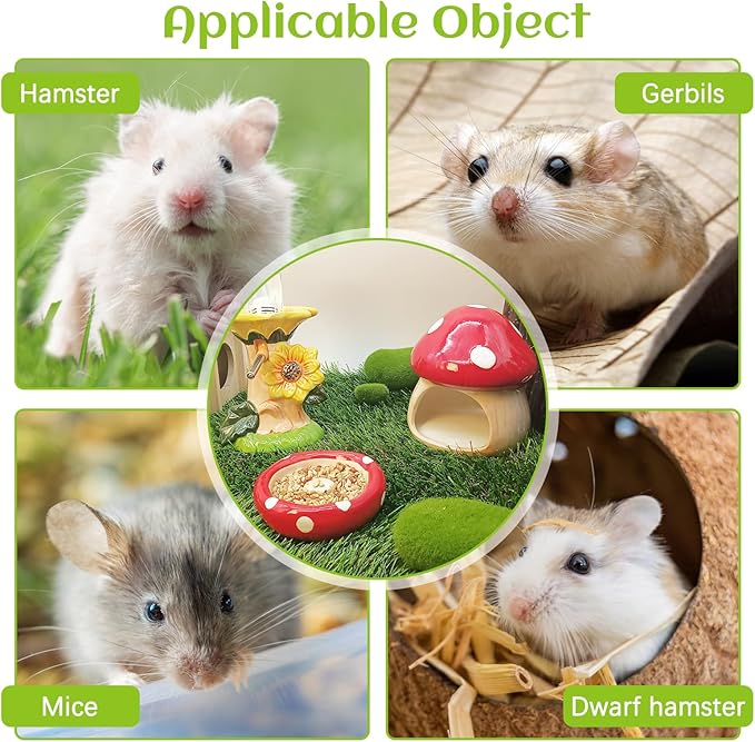 BNOSDM Ceramic Hamster Hideout Cute Mushroom Shape Hamster House and Habitat Cool Hamsters Hide Suitable for Syrian, Mice, Dwarf Hamsters, Gerbils (Red)