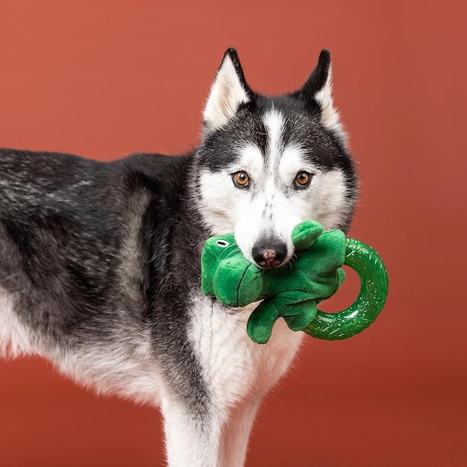 Fringe Studio Rubber Dog Toy, Unleash The Dino, Pet Shop Collection (519080)