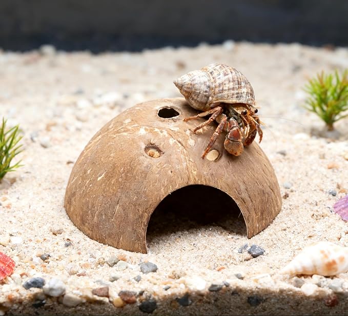 Hermit Crab Accessories, Natural Adjustable Hermit Crab Climbing Toys Bendable Bridge, Coconut Shell Hideout Hut, Plants for Reptiles & Amphibians Supplies(B-Group-9PCS)