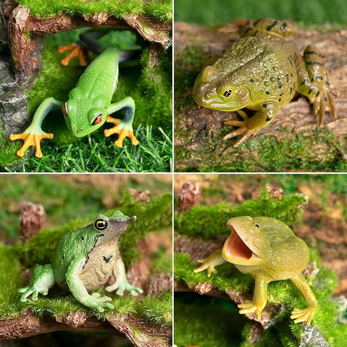 Toymany Frog Toy Figures, Plastic Rainforest Woodland Animals Toy Frogs Set with Realistic Poison Dart Frog, Cake Topper Party Favor Garden Flowerpot Plants Decor