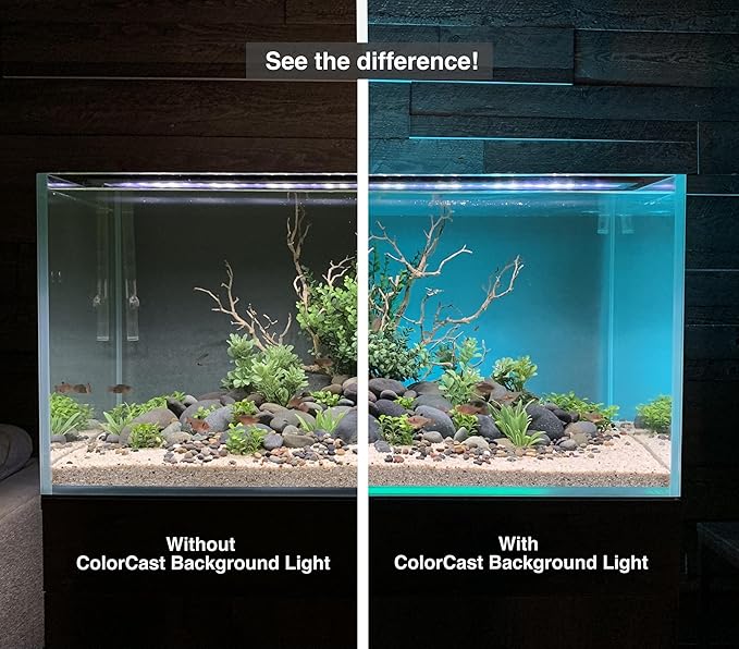 ColorCast Smart LED Aquarium Background Light Kit with Frosted Background Film | Smartphone and Voice Control | 24/7 Timers | Alexa and Google Home | for Aquariums, Terrariums and Vivariums | 18"-32"