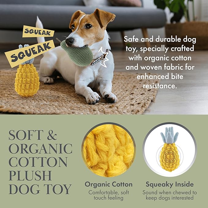 Organic Cotton Squeaky Dog Toys Fruits & Veggies Dog Toy Pack - Handmade Knit Dog Accessories, for Small Medium Dogs, Puppy Essentials and Puppy Toys Perfect Dog Gift