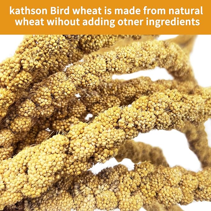 kathson Natural Sun-Dried Birds Millet Spray Millet Treat Bird Snacks for Parrots Cockatiels Lovebirds Painted Buntings and Finches Parakeets 2.2 LB