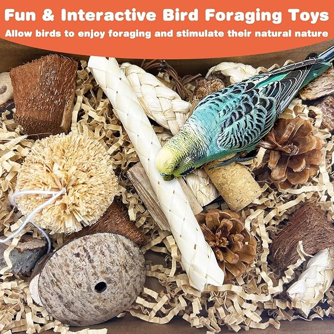 PINVNBY Natural Bird Toys Bird Foraging Box Interactive Parrot Shredding and Chewing Toy for Conure Parakeet Budgie Cockatiel Lovebird Small-Medium Birds (Medium)