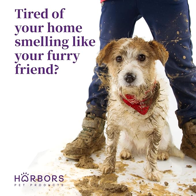 Harbor's Pet Cologne (Baby Powder 4oz)