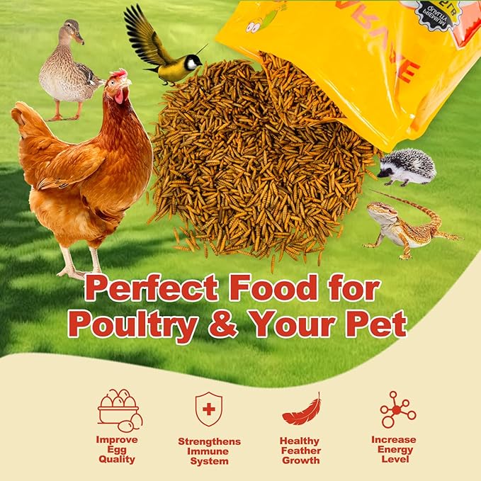 22LB Dried Black Solider Fly Larvae, BSFL is High Protein Chicken Feed with 85x More Calcium Than Dried Mealworms, Poultry Treats, Chickens Love, Birds Love, Hens Love, Ducks Love