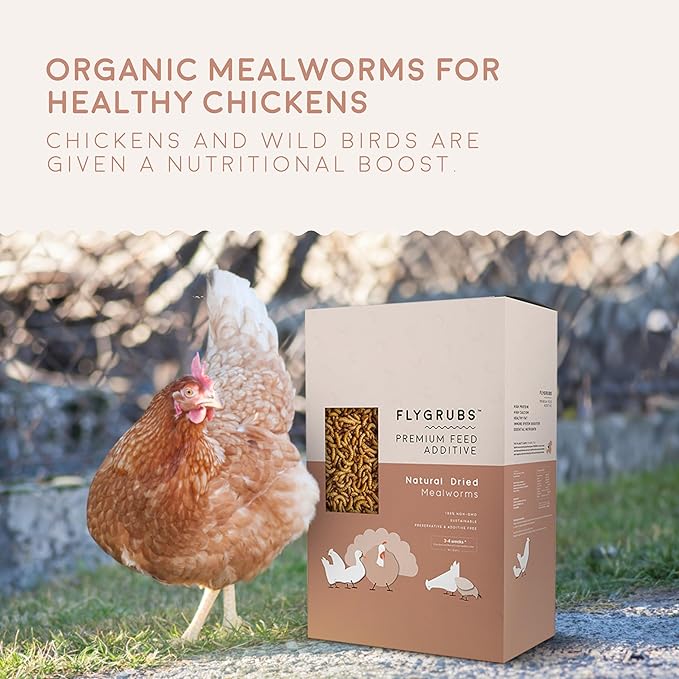 FLYGRUBS Superior to Dried Mealworms for Chickens (20 lb) 85X More Calcium Non-GMO Chicken Feed Additive & Molting Supplement - BSFL Treats for Hens, Ducks, Turkeys, Wild Birds, Turtles, Quails