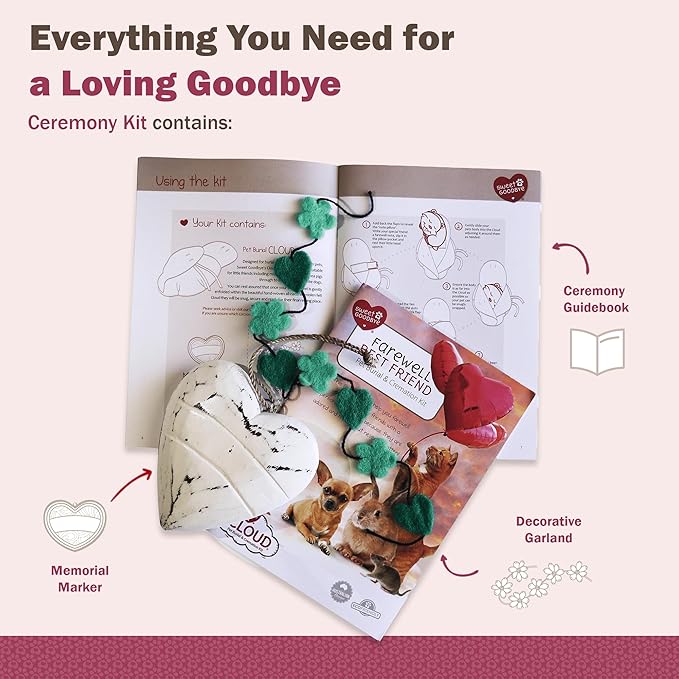 Cloud® - Eco-Friendly Pet Burial & Cremation Ceremony Kit - Casket for Smaller Pets: Rabbits Hamsters Gerbils Birds Reptiles, Small Cats (Choose Size & Color)(Medium, Aqua)
