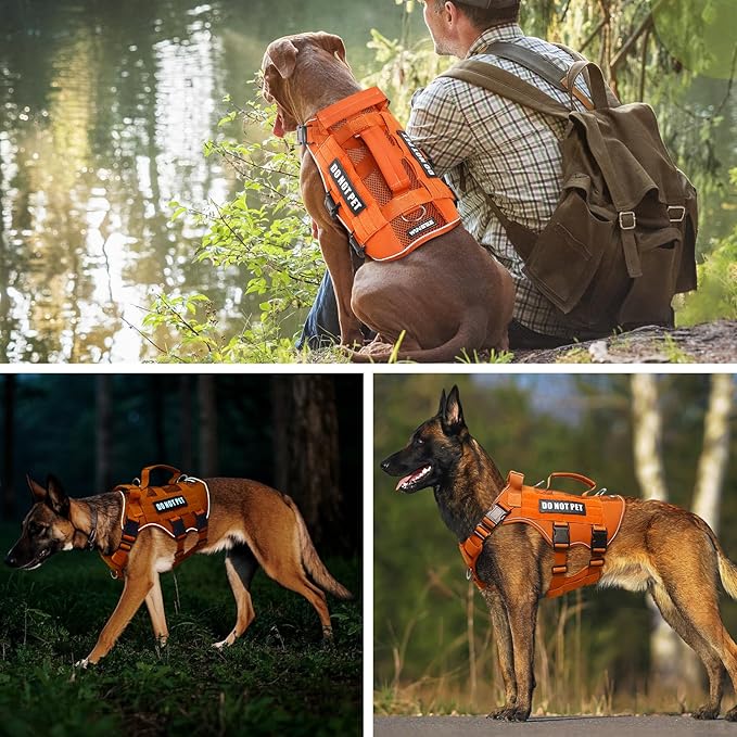 WINSEE Mesh Dog Harness with 10 Pet Patches for Medium Service Dog in Training, Breathable Tactical Molle Vest with Double Handle, Reflective Military Pet Vest for Walking Hiking