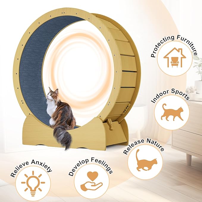 41'' Cat Exercise Wheel for Indoor Cats, Cat Running Treadmill Wheel with Detachable Carpet & Toy for Running/Walking/Training, Suitable for Most Cats