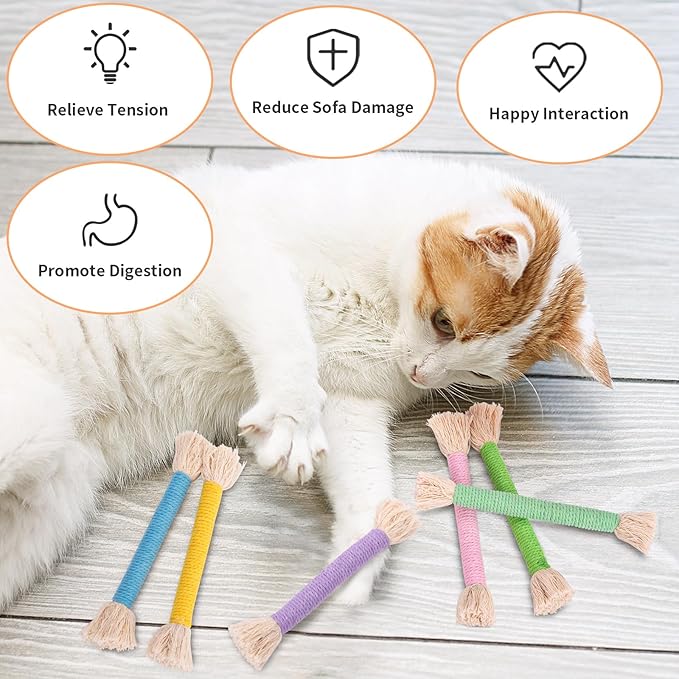 Retro Shaw Cat Toys Ropes with Catnip, 6Pcs Kitten Teething Chew Toys for Indoor Cats, Interactive Cat Nip Kitty Toys Kicker, Safe Durable Upgraded