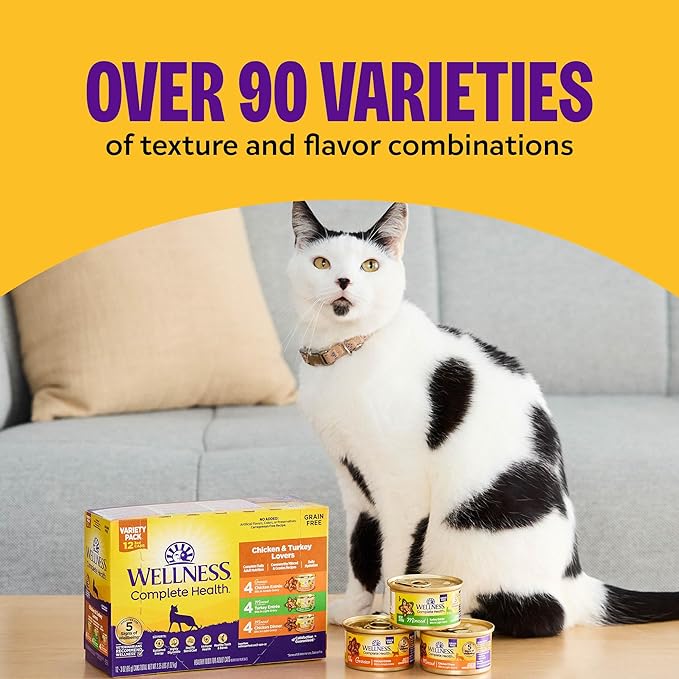 Wellness Complete Health Pate Adult Wet Cat Food, Natural, Protein-Rich, Grain Free, 12.5 Ounce, 12 Pack, (Chicken & Lobster)