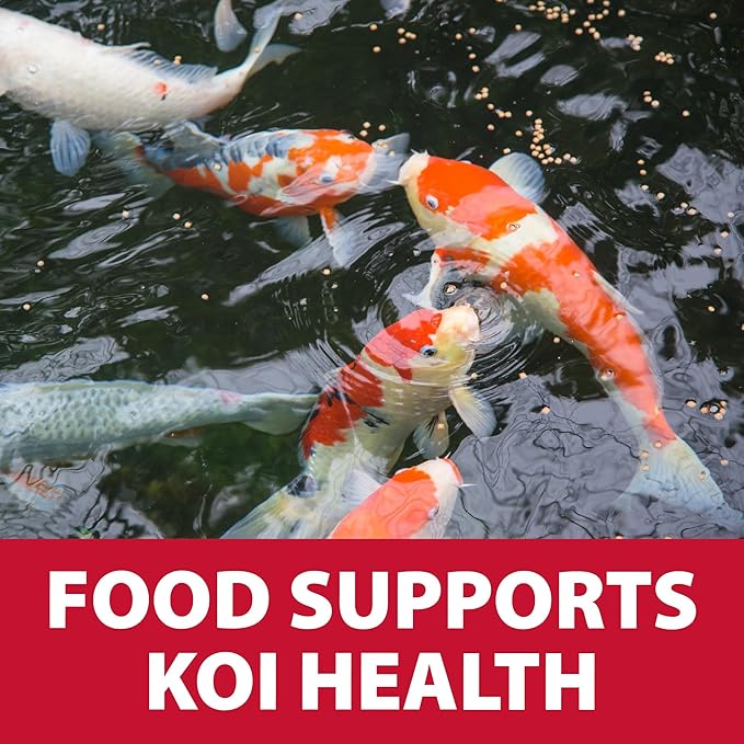 The Pond Guy Staple Fish Food for Backyard Koi & Goldfish, Choice Floating Pellets for Fish Wellness & Health, Smart Nutrition for Clean Ponds, 40 lbs