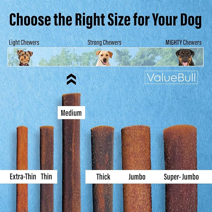 ValueBull Collagen Sticks for Dogs, 12 Inch Medium Chews, Natural Long-Lasting Dog Treats, 200 Count Wholesale Pack - Supports Joints, Skin & Coat with Chondroitin & Glucosamine