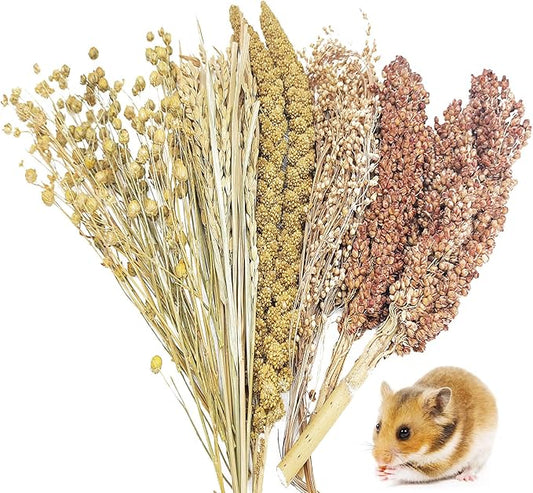 Fhiny Natural Hamster Sprays Edible Hamster Bedding Air-Dried Grain Set for Habitat Decor Mice Cage Accessories for Gerbils Lemmings Parrots Rats and Other Small Animals（0.4lb）