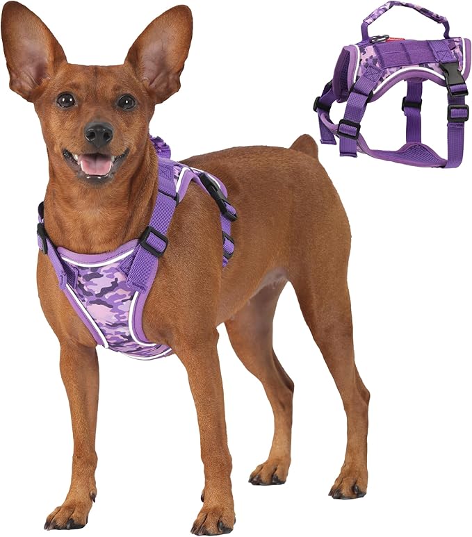 Dog Harness and Leash Set, Small Sized No Pull Pet Harness with Control Handle, Adjustable Tactical Harness for Small Medium Dogs Cats, Reflective Puppy Harness for Walking Hiking Training