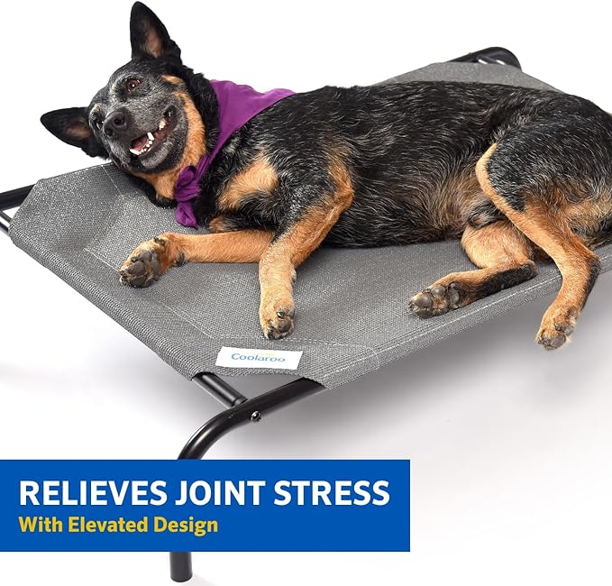 Coolaroo Original Elevated Dog Bed - Breathable Off-The-Ground Pet Bed with Cooling Fabric, Joint Relief & Moisture-Resistant Fabric, 100% Recyclable, Easy Clean, Gray, Extra Large