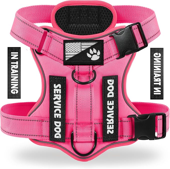 Demigreat Reflective Dog Vest Harness with 5 PCS Patches, Adjustable Soft Oxford Dog Harness, Inner Layer Mesh, Prevent Pulling and Choking, Small (HotPink)