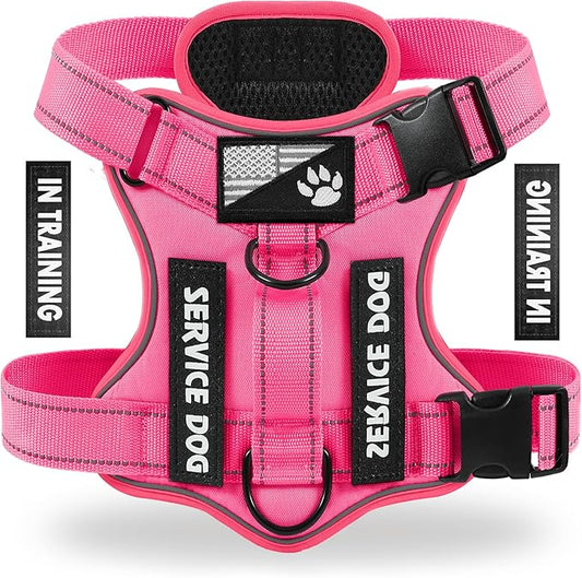 Demigreat Reflective Dog Vest Harness with 5 PCS Patches, Adjustable Soft Oxford Dog Harness, Inner Layer Mesh, Prevent Pulling and Choking, Small (HotPink)