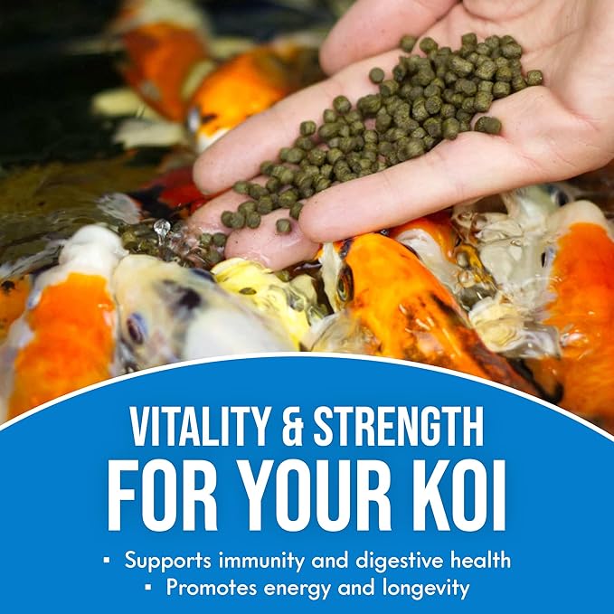 Grow Extra Swim Koi Food (1 Pack 2.5lb)