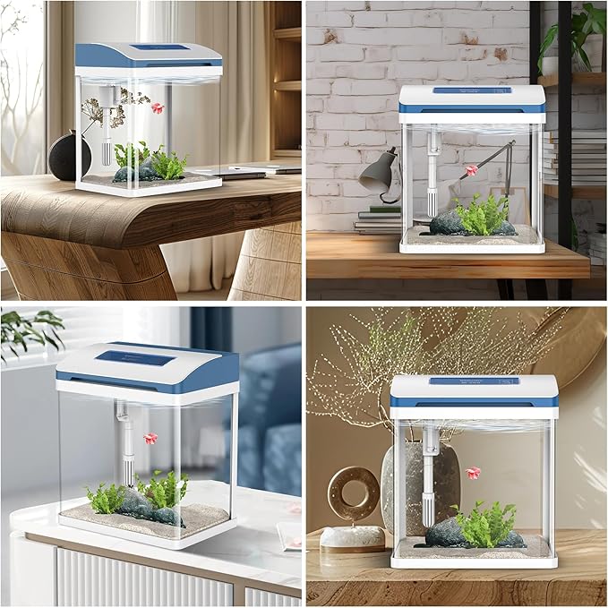 Betta Fish Tank 5 Gallon Glass Aquarium Starter Kit, Small Fish Tank with Filter and Light.