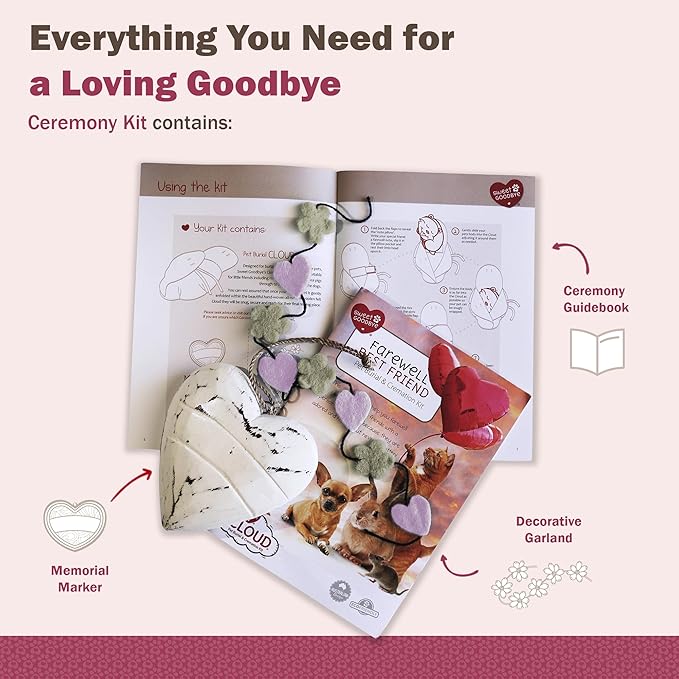 Cloud® Eco-Friendly Pet Burial & Cremation Ceremony Kit Casket for Smaller Pets: Rabbits Hamsters Gerbils Birds Reptiles Small Cats (Choose Size & Color) (Small, Natural)