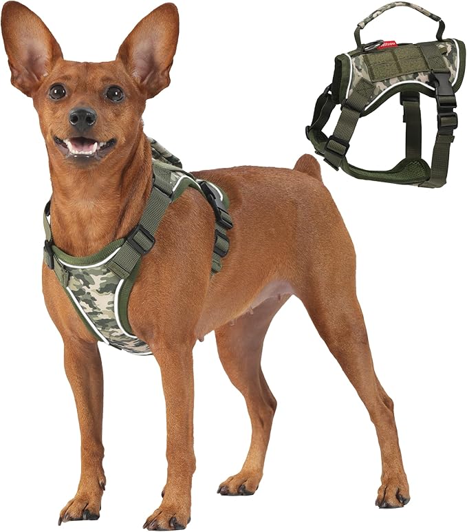 Dog Harness and Leash Set, Small Sized No Pull Pet Harness with Control Handle, Adjustable Tactical Harness for Small Medium Dogs Cats, Reflective Puppy Harness for Walking Hiking Training