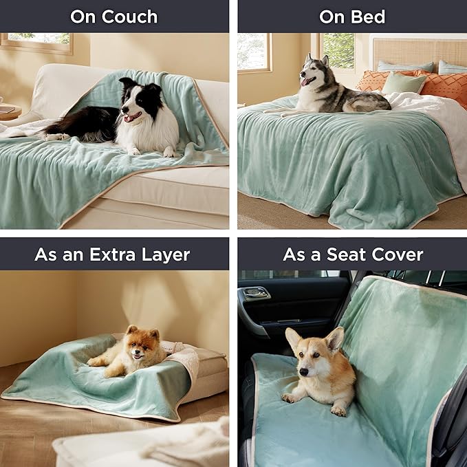 Bedsure Waterproof Blanket for Bed - Sherpa Fleece Waterproof Dog Blankets for Large Dogs, Pet Blankets for Bed/Couch/Dog Crate, Soft Plush Reversible Furniture Protector, Twin, 80"x60", Light Green