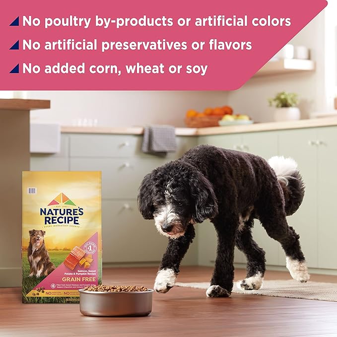 Nature′s Recipe Grain Free Salmon, Sweet Potato & Pumpkin Recipe Dry Dog Food, 4 lb. Bag (Pack of 2)