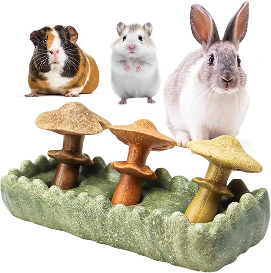 TEEWY 4PCS Guinea Pig Chew Toys, Prevent Teeth Overgrowth, Natural Timothy Grass & Vegetables, Hamster Chew Toys, Guinea Pig Toys, Chinchilla Toys, Grass Patch & Mushrooms