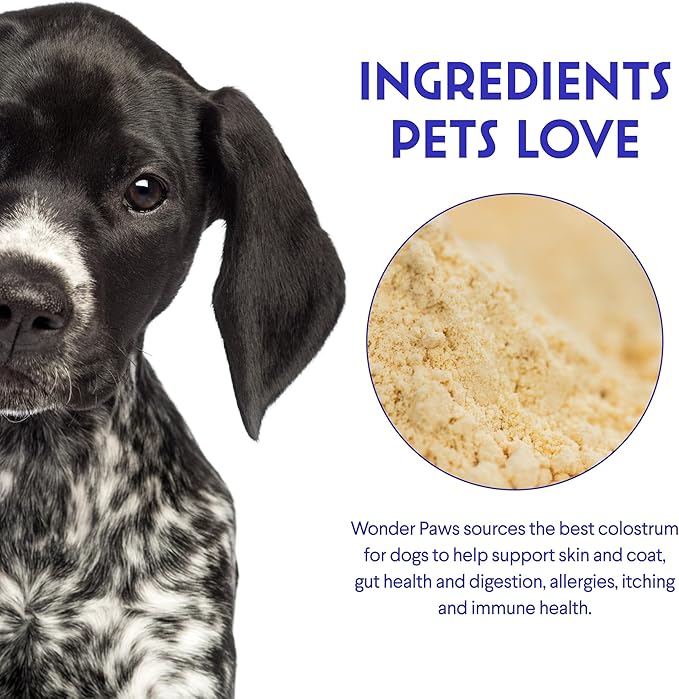 Premium Grass Fed Colostrum for Dogs – Pure Bovine Colostrum for Dogs – Immune, Allergy, Skin & Itch Relief – All Ages, Sizes & Breeds – 3.20oz