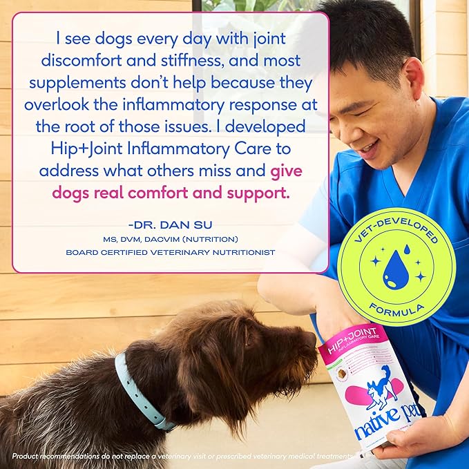 Native Pet Pain Relief for Dogs - Collagen for Dogs Promotes Joint Health, Reduce Inflammation & Stiffness - Senior Pup Joint Supplement - Natural Pain Reliever for Active & Aging Pets - 120 Chews