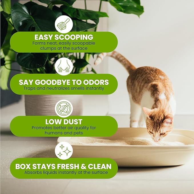 Almo Nature Soft Texture Cat Litter 10 lbs - Plant-Based, Clumping, Biodegradable, Non-Toxic, Compostable, Eco-Friendly, Odor Control, Low Dust, Safe for Cats & Kittens